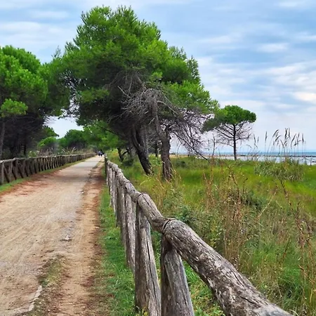 Cozy Facing The Sea Daire